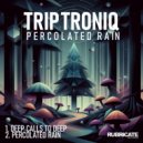 Triptroniq - Deep Calls To Deep (Original Mix)
