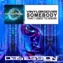 Vinylgroover - Somebody That I Used To Know (Extended Mix)