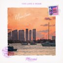 Tide Lane & NOAM - Moonstone (Original Mix)