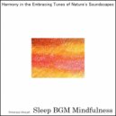 Sleep BGM Mindfulness - Energizing Embrace of Ocean\'s Serenade (Original Mix)