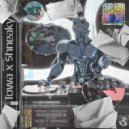 Towa & Shneaky - What You Want ()