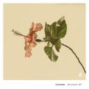 Cosmide - Dokos (Original Mix)