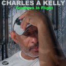 Charles A. Kelly - Feathers In Flight (Deep Cut Version)