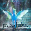 BINBXNE - pegasus