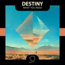 Destiny - Afraid To Feel ()