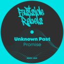 Unknown Past - Promise