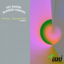 Key Baked, Blinded Junkies - Melting (Original Mix)