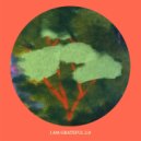 Lee Harris & Davor Bozic & Sion Louks - I Am Grateful 2.0 ()