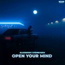 BlackHood & Steven Roys - Open Your Mind (Original Mix)