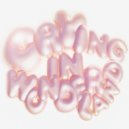 Cosmicosmo - Crying in Wonderland ()