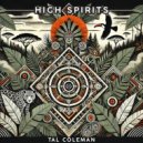 Tal Coleman - High Spirits (Original Mix)