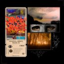 TAKEDA & Towa & 13MURDERER - Mean It ()