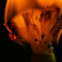 Anan Tasca & Bruno Ledesma & Ledd - Rotten Apple (Bruno Ledesma, Ledd Remix)