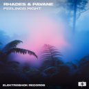 Rhades & Pavane - Feelings Right (Original Mix)