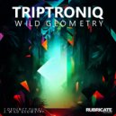 Triptroniq - Wild Geometry (Original Mix)