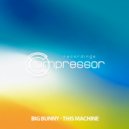 Big Bunny - This Machine (New Dub Mix)