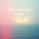 Chicagoboy - Feels Like Flying