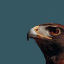 KR3TURE & ALCHEMYSOUND - THE HAWK ()