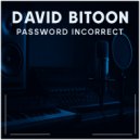 David - Password incorrect (Original Mix)