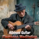 Lucas Tarrega.Guitar - Albinoni