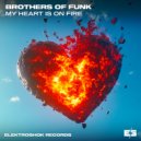 Brothers of Funk - My Heart Is On Fire (Original Mix)