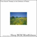Sleep BGM Mindfulness - Astral Rhythms Flowing with Neural Tunes (Original Mix)