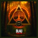Blau Transition - Icaros