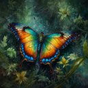 Upgrade, Raz Kfir - Butterfly