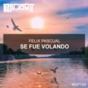 Felix Pascual - Se Fue Volando (Original Mix)
