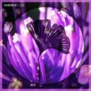 Darksidevinyl, Mariøsh - Jameela (Original Mix)