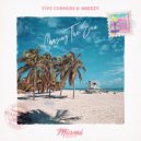 Five Corners & Breezy - Chasing The Sun (Original Mix)