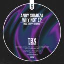 Andy Somoza - Why Not (Trippy J Remix)