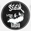 Seek - RAREDUB (Original Mix)