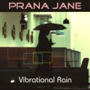 Prana Jane - Vibrational Rain (Dub Radio Edit)