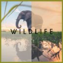 Luca S - Go With the Wild (Original Mix)