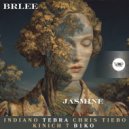 Brlee - Jasmine (Original Mix)