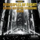Principles Of Flight & NRS - Voxbox (Remix)