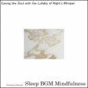 Sleep BGM Mindfulness - Whispers from Depths Harmonized with Lullabies for Mental Balance (Original Mix)