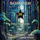 Zhanna V - DJ Summer (Original Mix)