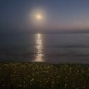 Tanya Petru - Считаю звёзды (Original Mix)