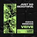 Veive & Ciava - Just So Beautiful (Ciava Remix)