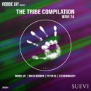 Stereoimagery - Jive Strut (Original Mix)