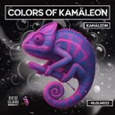 Kamäleon - NADA ()