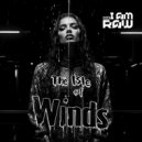 I AM RAW - The Isle Of Winds (Original Mix)