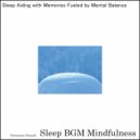 Sleep BGM Mindfulness - Gentle Waves of Neuroplasticity Flow Against Stressful Nights (Original Mix)
