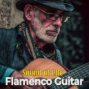 Lucas Tarrega.Guitar - Andalusian Fury (Original Mix)