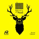 hibrido - acid vibes