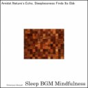 Sleep BGM Mindfulness - Deep Connection with Neural Waves and Sleep Induction (Original Mix)