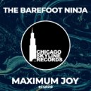 The Barefoot Ninja - Maximum Joy