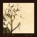 The Glass Hours & brad armstrong & Megan Barbera - Colorado ()